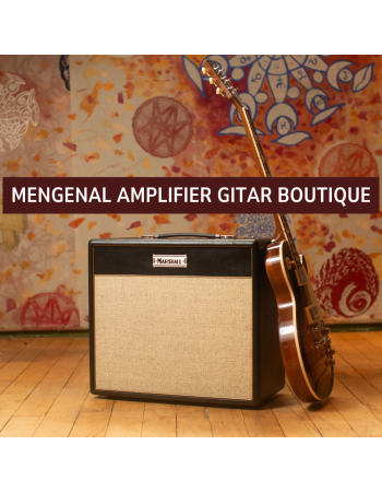 Mengenal Amplifier Gitar Boutique